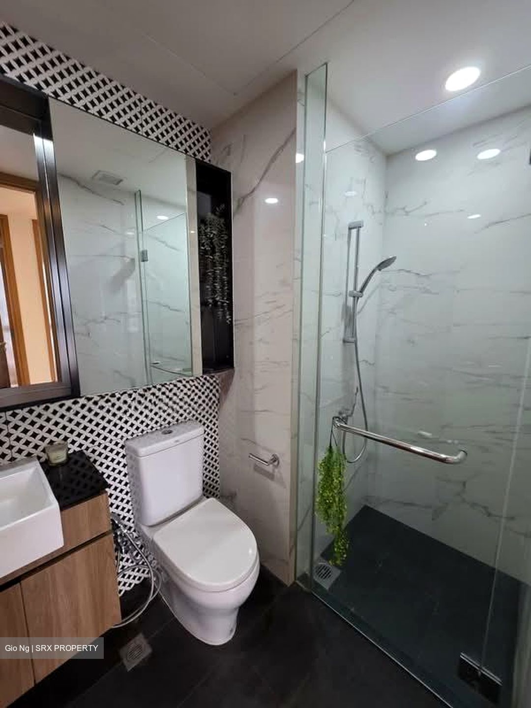 The Verandah Residences (D5), Apartment #579699451